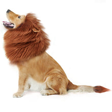 Load image into Gallery viewer, CPPSLEE Halloween Lion Mane Wig Costume - Make Your Dog Lion King - Adjustable Washable Comfortable Fancy Lion Hair Dog Clothes Dress for Halloween
