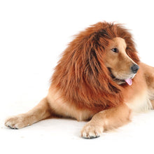 Load image into Gallery viewer, CPPSLEE Halloween Lion Mane Wig Costume - Make Your Dog Lion King - Adjustable Washable Comfortable Fancy Lion Hair Dog Clothes Dress for Halloween
