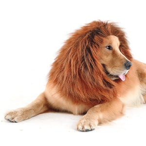 CPPSLEE Halloween Lion Mane Wig Costume - Make Your Dog Lion King - Adjustable Washable Comfortable Fancy Lion Hair Dog Clothes Dress for Halloween